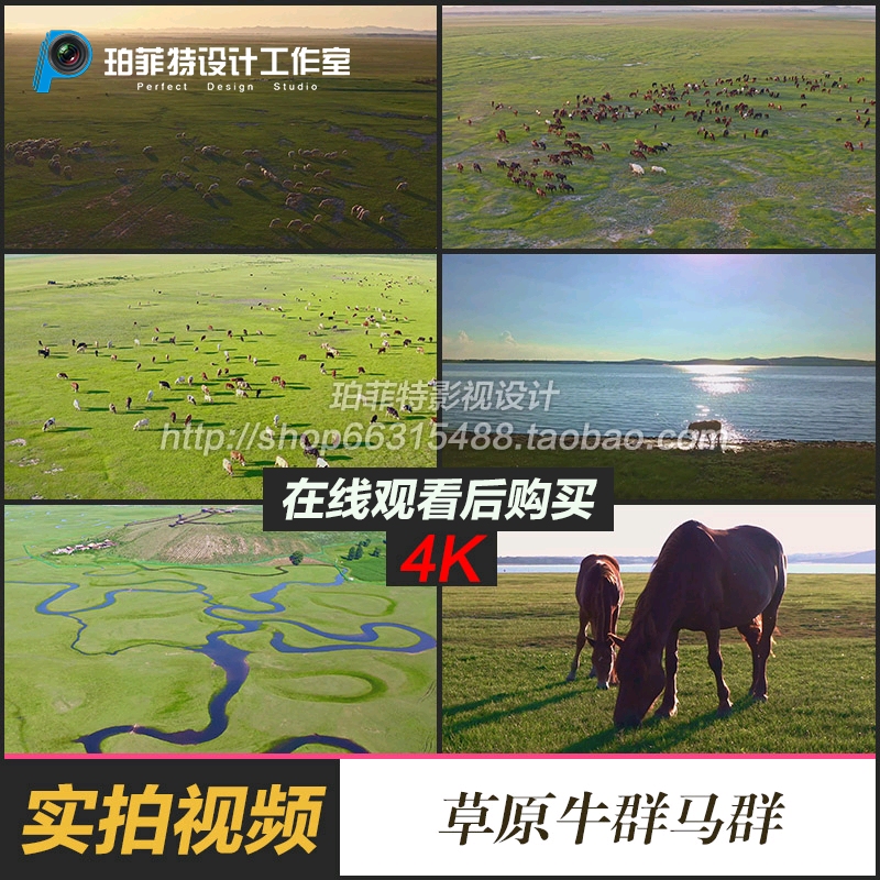 内蒙古大草原牛群马群视频素材一望无际田野航拍鸟瞰