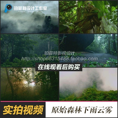 原始森林树木下雨云雾耶稣光热带雨林树林航拍实拍视频素材