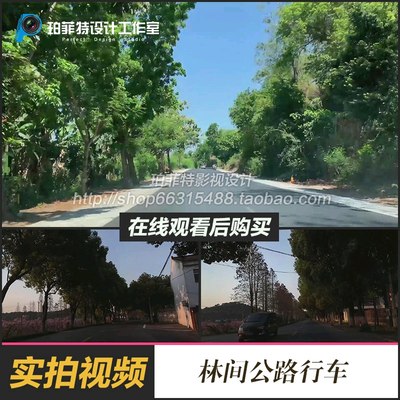 汽车行驶村庄林间公路行车第一视角林荫大道视频素材