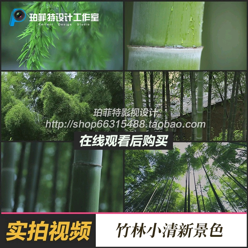 小清新 大自然森林 竹林竹叶水滴空镜头 竹子生长 实拍视频素材