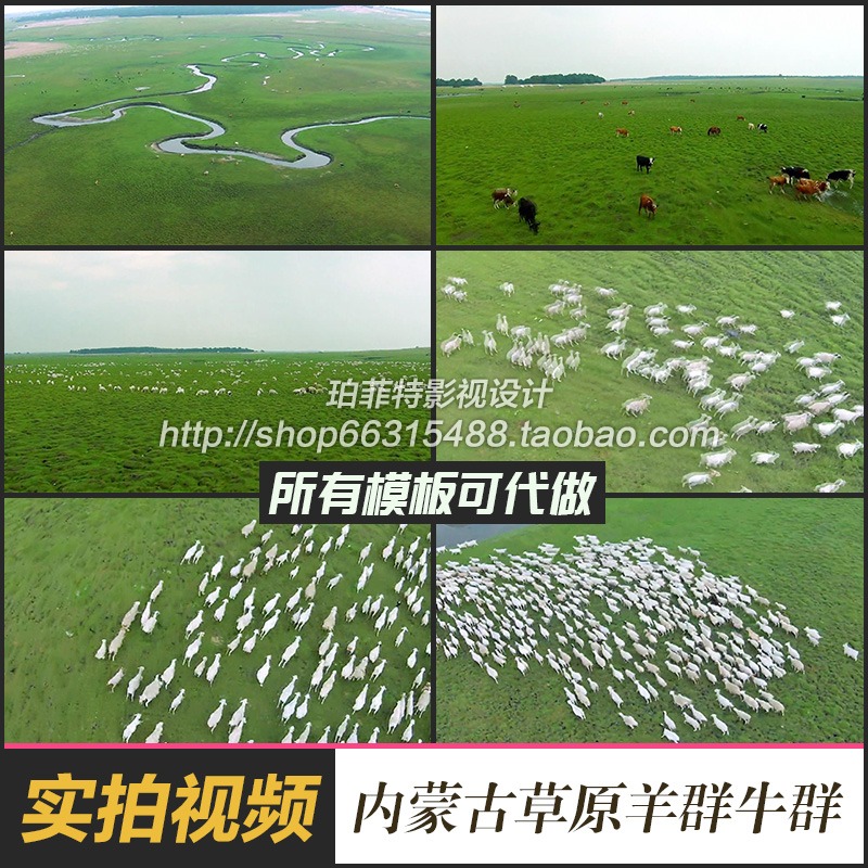 C172唯美航拍草原内蒙古风光风景色放牧民羊群马牛群实拍视频素材