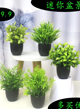 仿真绿植盆栽假植物酒店客房摆件