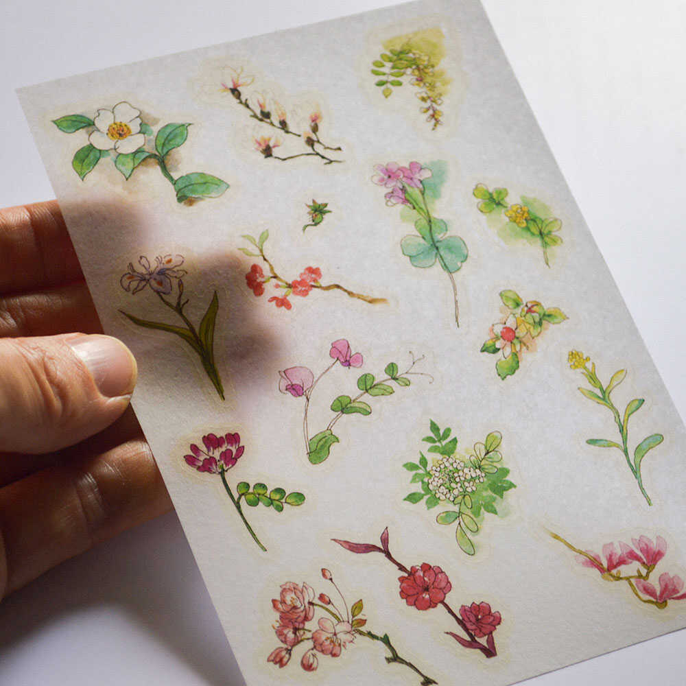 原创水彩和纸贴纸四季花朵