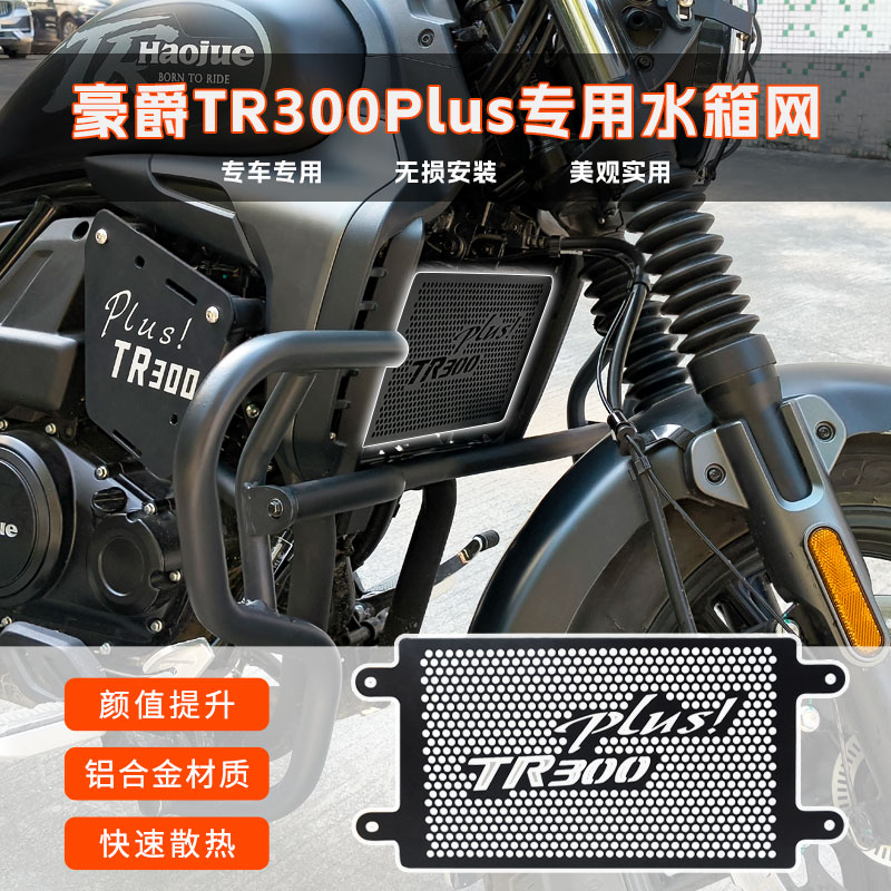 豪爵TR300PLUS专用水箱保护网散热器保护网改装防护罩水箱网配件