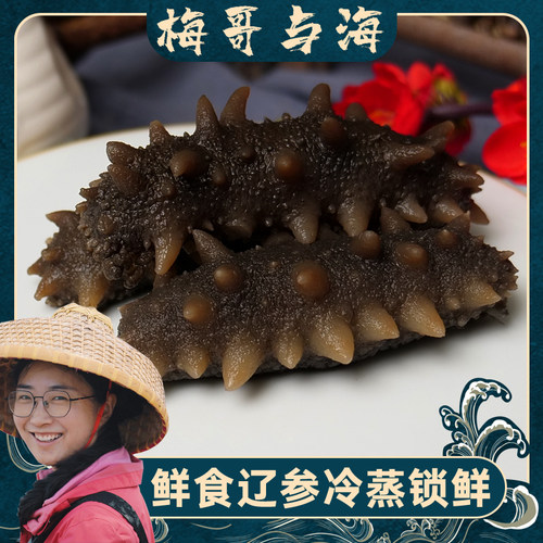 大梅小镇冷蒸工艺鲜食海参开袋即食辽刺参每盒500g