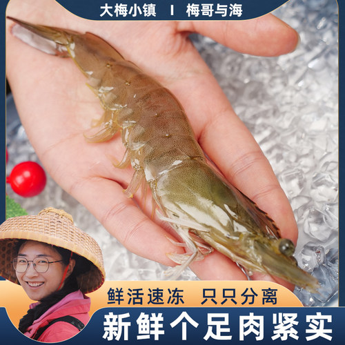 海洋基围大规格速冻白对虾
