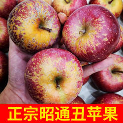 顺丰现摘云南昭通苹果新鲜生当季水果冰糖心丑平果野萍果脆甜绍通