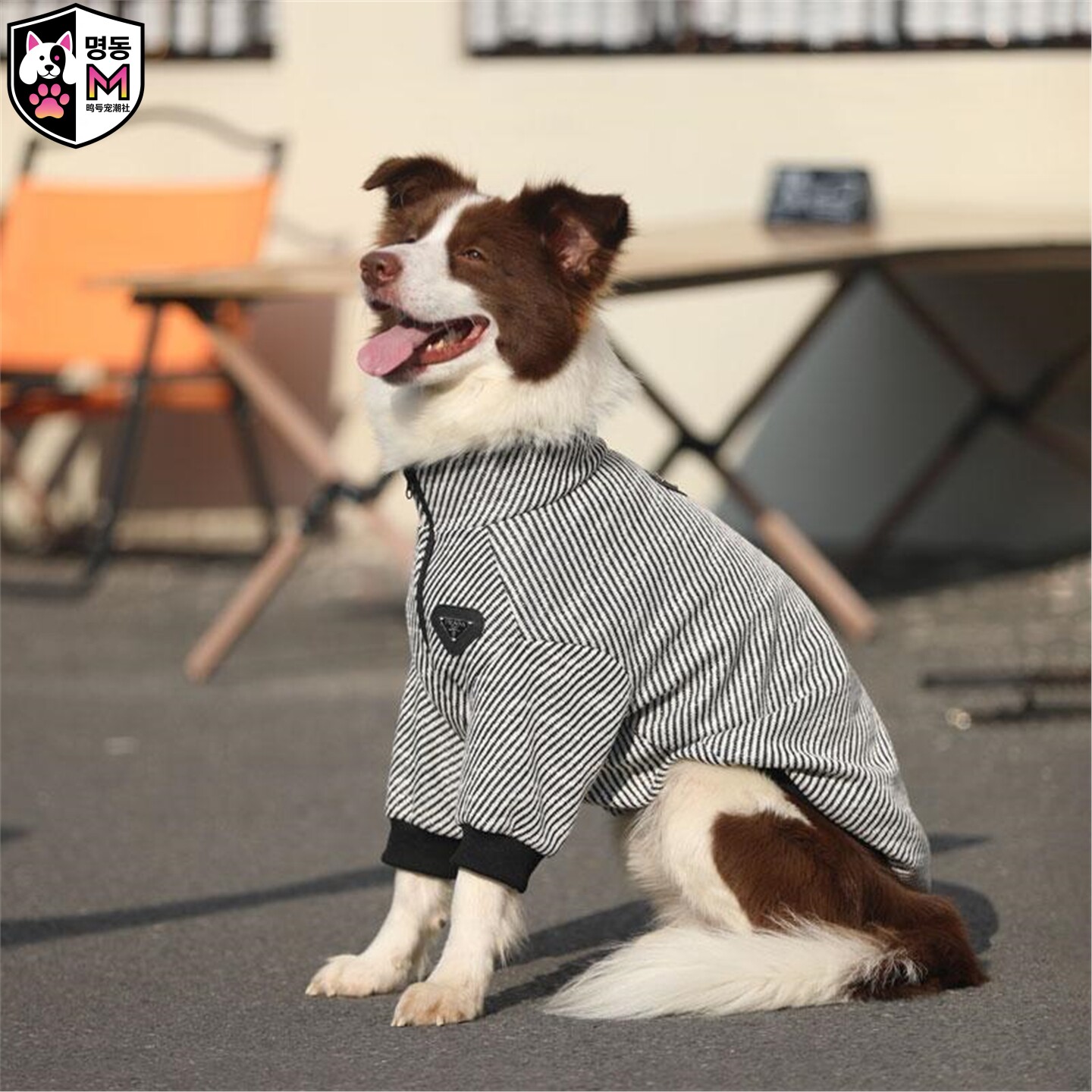 明洞秋冬大型犬防掉毛狗衣服