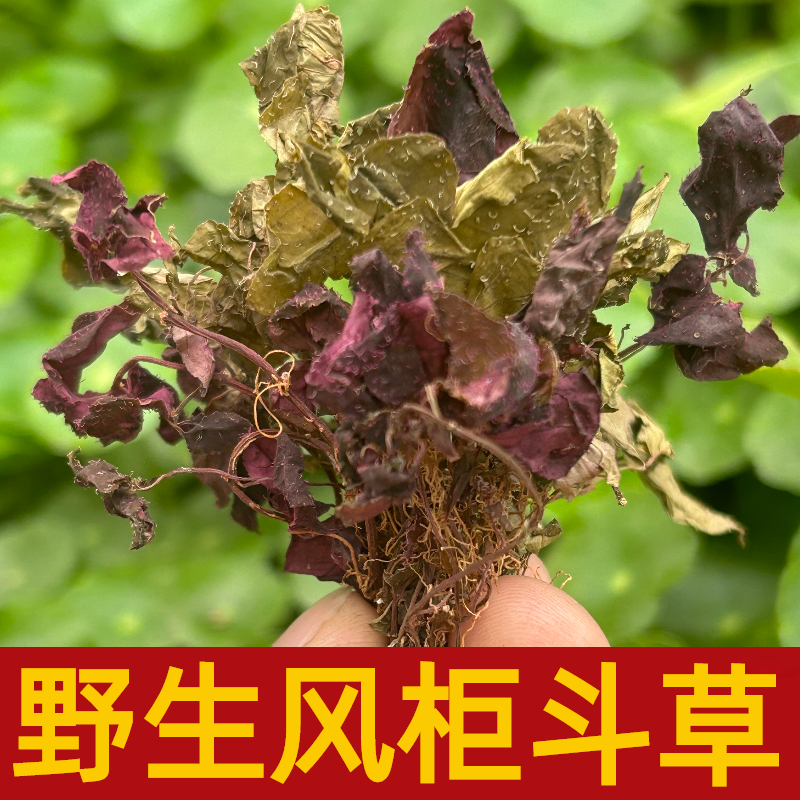 风谷草作用图片