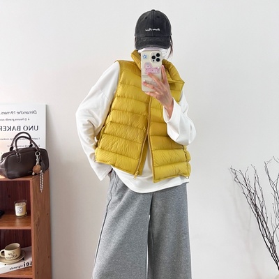 外贸尾单新款女款排骨冬季叠穿马甲羽绒服防风立领短款