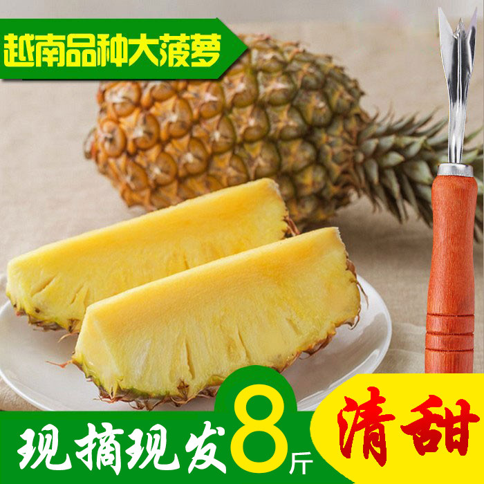 新鲜大菠萝徐闻菠萝凤梨水果热带