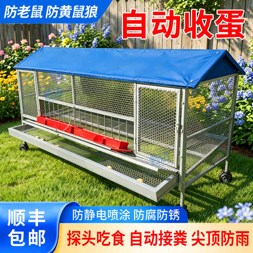 鸡笼家用室外防雨自动收蛋清粪