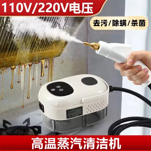110V蒸汽清洁机手持高温高压除甲醛喷枪出口专用油烟机空调清洗机