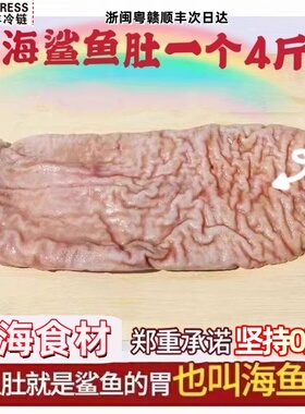 鲨鱼肚新鲜海鱼肚整个4斤爽口八珍脆肚肚丝火锅食材鱼泡花胶鱼胶