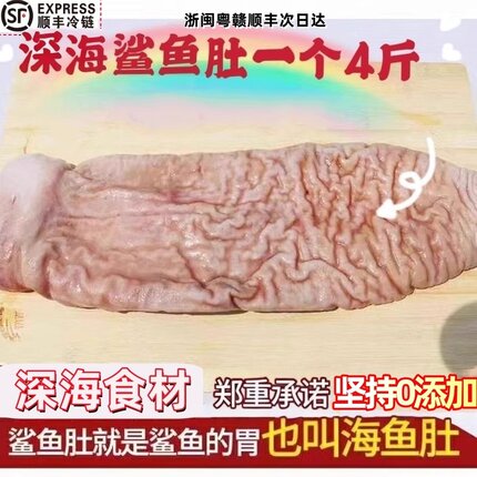深海鲨鱼肚新鲜海鱼肚整个4斤海八珍滋补天然鱼胃鱼肚皮花胶鱼胶