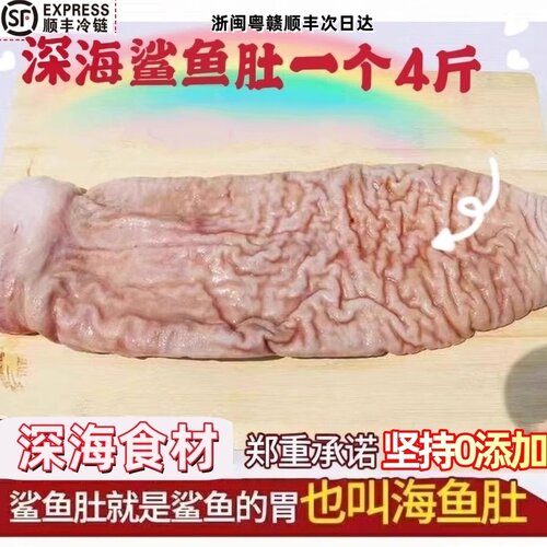 鲨鱼肚新鲜海鱼肚整个4斤发顺丰