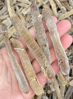 野生白沙虫干海肠子滋补孕妇儿童营养品煲粥沿海福建特产顺丰包邮
