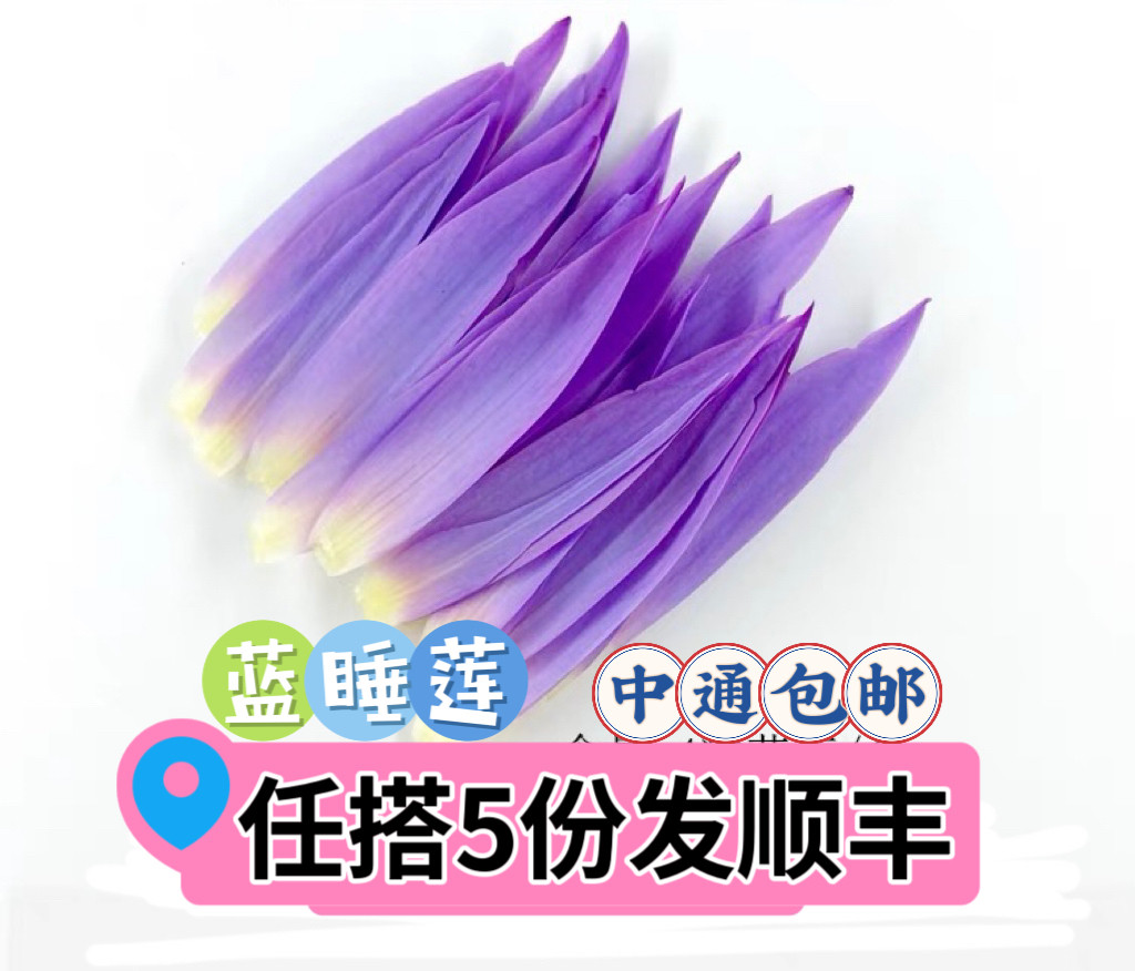 睡莲花瓣食用荷花西餐摆盘装饰