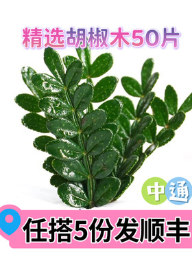 胡椒木清香木西餐蛋糕烘焙摆盘