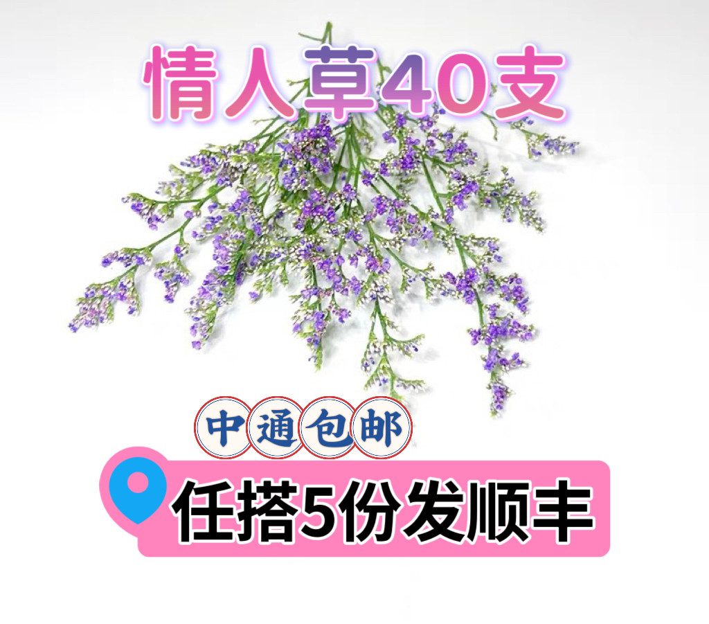 情人草鲜花西餐日料摆盘装饰