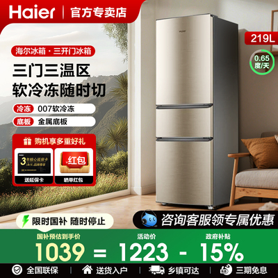 海尔219升电冰箱家用小型租房