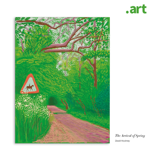 波普现代家居装饰画玄关客厅餐厅橙绿撞色挂画 Hockney大卫霍克尼