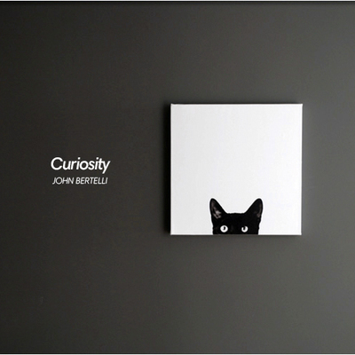 Curiosity好奇的小黑猫 喵星人创意黑白挂画儿童宝宝房家居装饰画