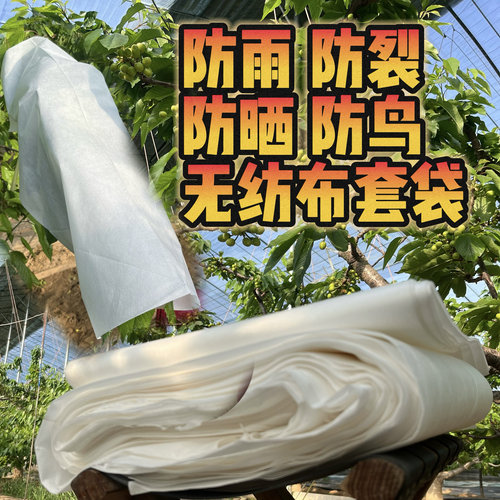 防雨布樱桃，桃，杏，李子防雨防晒防鸟尺寸60×80