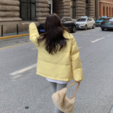 【档口现货】立领大口袋羽绒服B252-2251-P205-K328，女装羽绒服，浙宝252