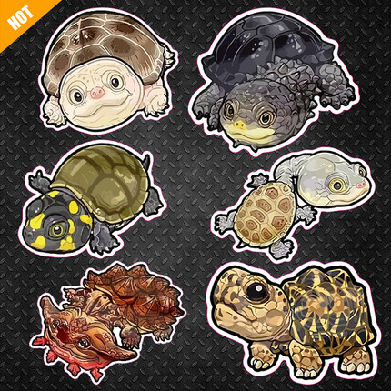 乌龟陆龟蛇颈龟鳄龟电脑笔记本冰箱贴电动汽车电瓶车反光磁力贴纸