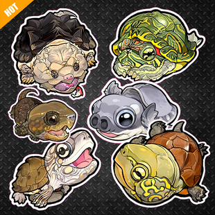 乌龟陆龟水龟鳄龟电脑笔记本冰箱贴电动汽车电瓶车反光磁力贴纸