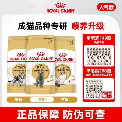 皇家猫粮BS34美英国短毛布偶成猫