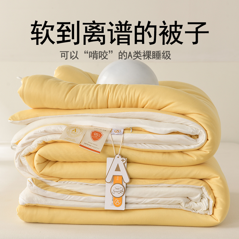 超软被芯A类大豆纤维春秋被子
