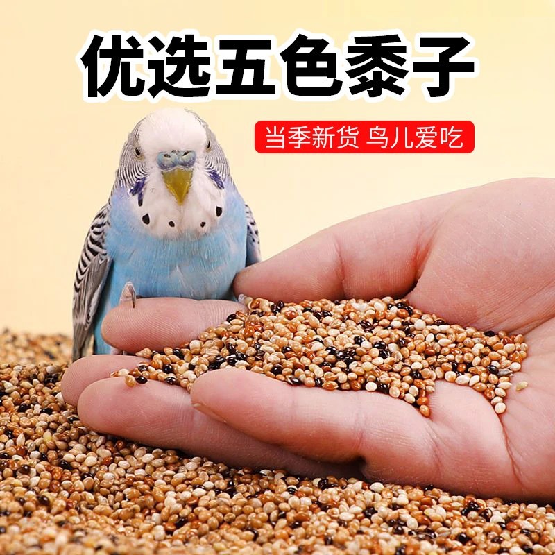 宠物鸟粮五色黍子家养鸟谷子饲料