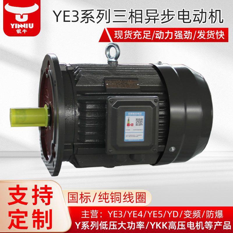 衡水电机厂家定制生产YE3-4极2.2-220KW高效三相异步电动机