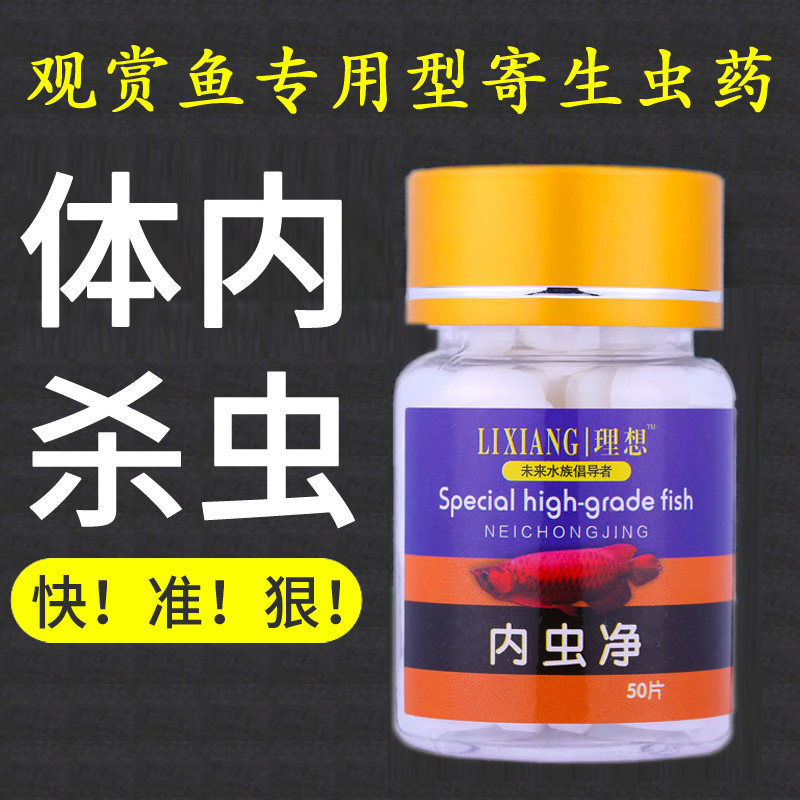 观赏鱼肠炎肠道内寄生虫药热带鱼厌食白便鱼缸杀虫药肠虫清蛋白虫