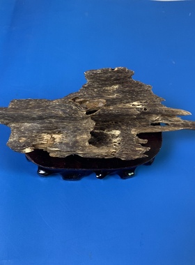 越南芽庄黑油虫漏沉香味道浓郁花果香摆件客厅会所店铺装饰保真