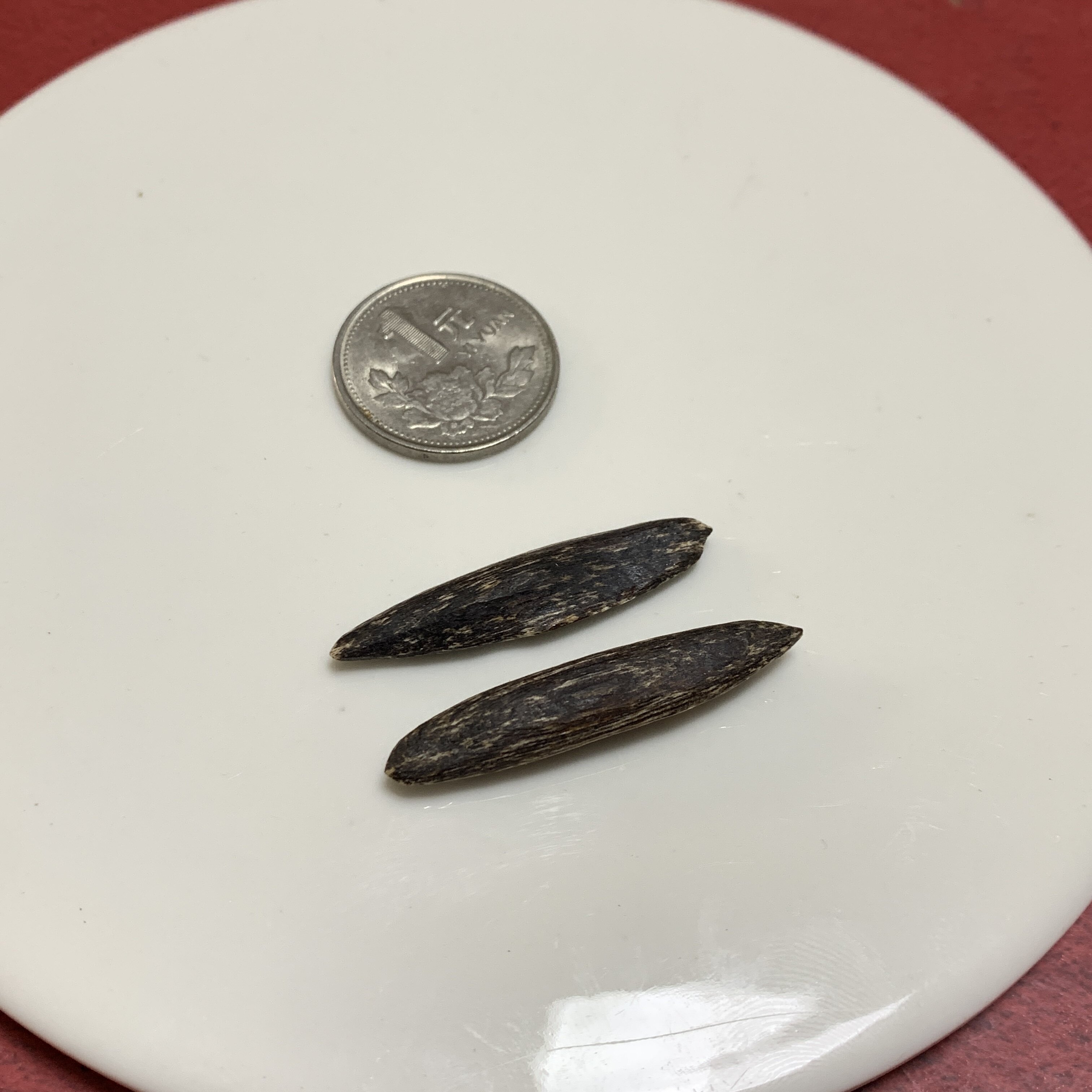 香港树心油虫眼沉香挂件吊坠耳坠黑油天然野保真油脂足甜雅升值