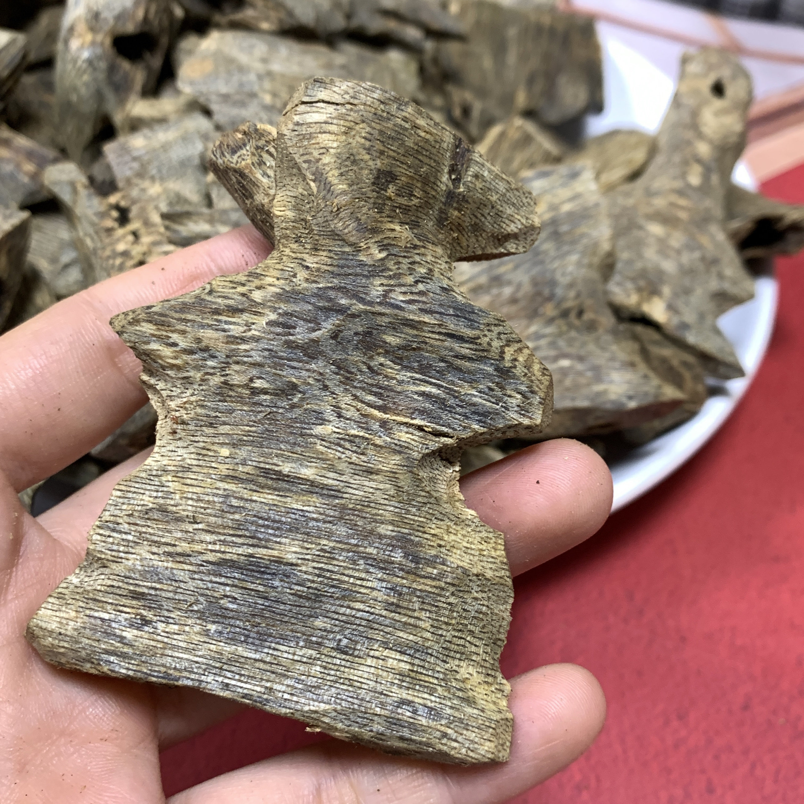 福利 金沙叶棋楠大壳子大冷钻眼原材料块熏香香料油脂高沉香上炉