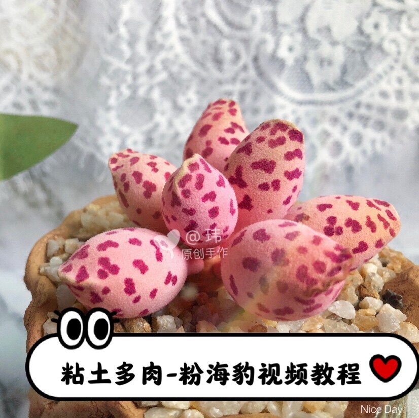 玮 原创手作 粘土多肉 树脂粘土 粉海豹多肉 手工教程 水泡多肉