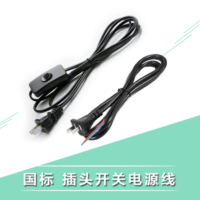 电源线插头开关两孔带线220v