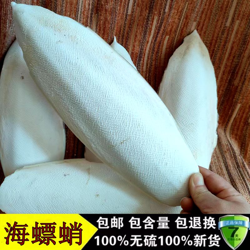 大个金针乌贼海螵蛸去盐纯干正品