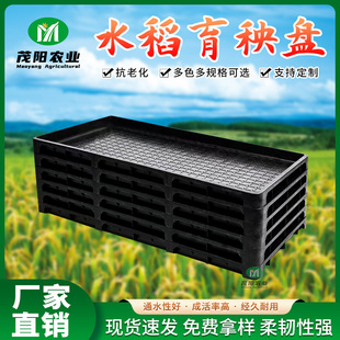 加厚水稻育秧盘水稻育苗插秧机秧苗盘PP硬盘9寸秧苗盘7寸现货