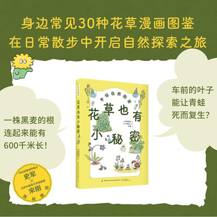 花草也有小秘密 手绘自然图鉴《花草也有小秘密》 稻垣荣洋 中国纺织出版社