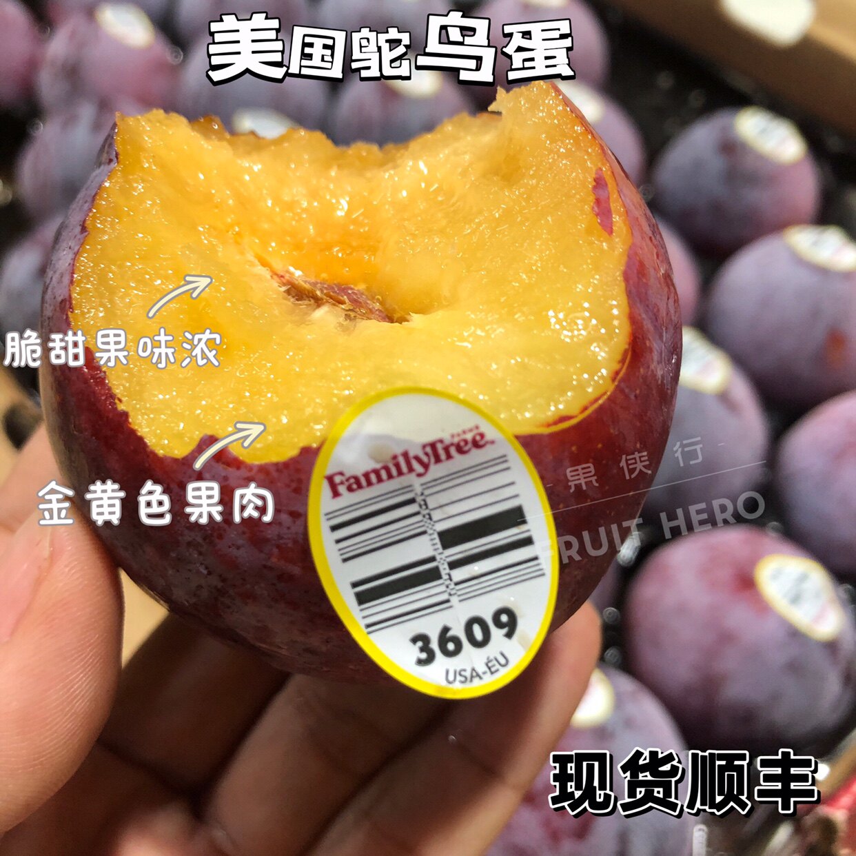 美国鸵鸟蛋恐龙蛋进口黄肉李子孕妇水果顺丰空运