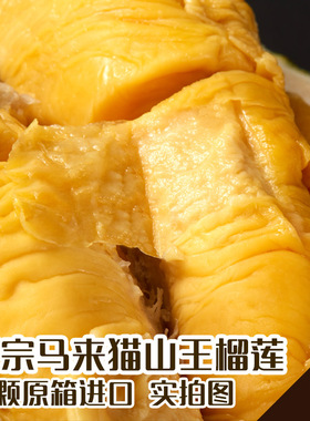 马来西亚AA级猫山王榴莲新鲜液氮冷冻水果保鲜带壳整个 顺丰包邮