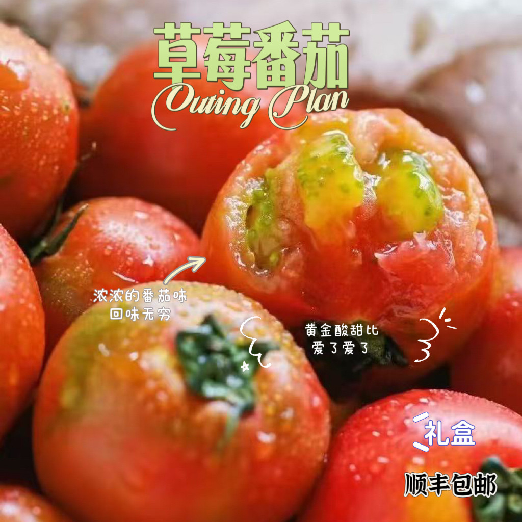 供港草莓番茄超级浓郁黄金酸甜比礼盒顺丰包邮图片