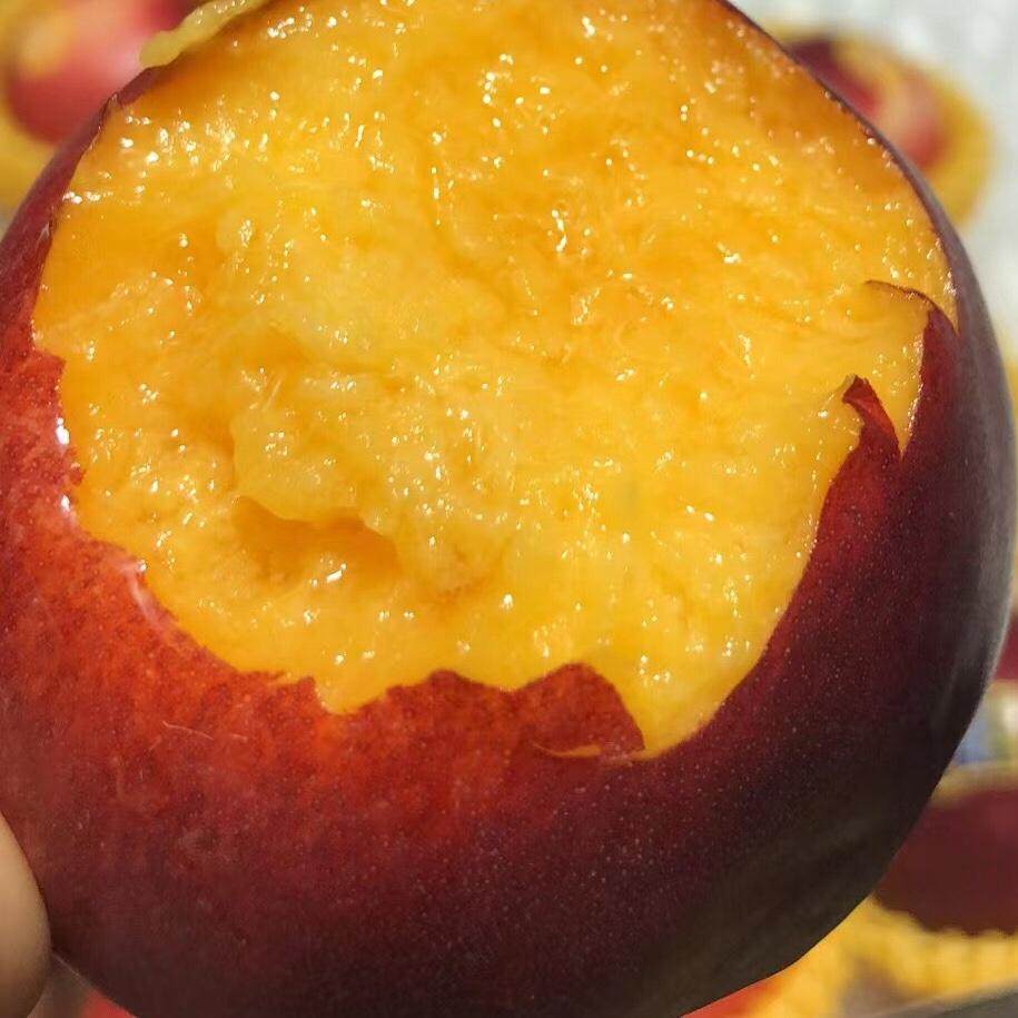 澳州黄油桃超甜油桃软糯香甜顺丰包邮,水产肉类/新鲜蔬果/熟食,桃,淘宝优惠券,粉丝福利购,淘宝优惠卷