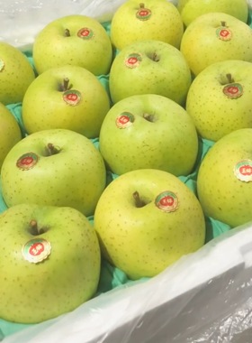 正宗青森王林苹果脆爽多汁日本品种季节限定顺丰包邮