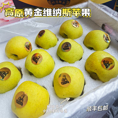 高原黄金维纳斯特级苹果礼盒装顺丰包邮